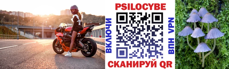 Купить  Шахты  Псилоцибиновые грибы мухоморы 