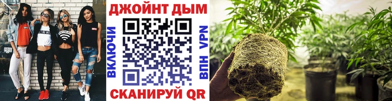 Шишки марихуана LSD WEED  Купить  Шахты 